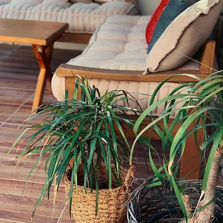 酒店 Rijeka Alacati *