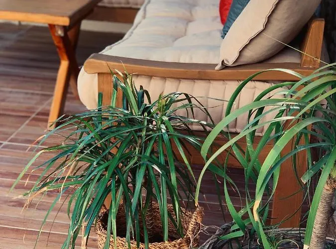 Готель Rijeka Alacati *