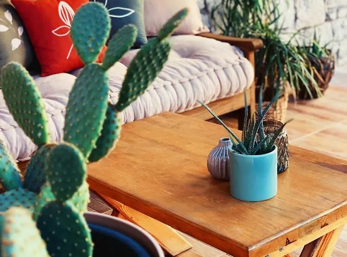 Rijeka Alacati Готель *